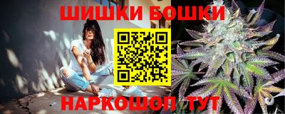2c-b Новозыбков