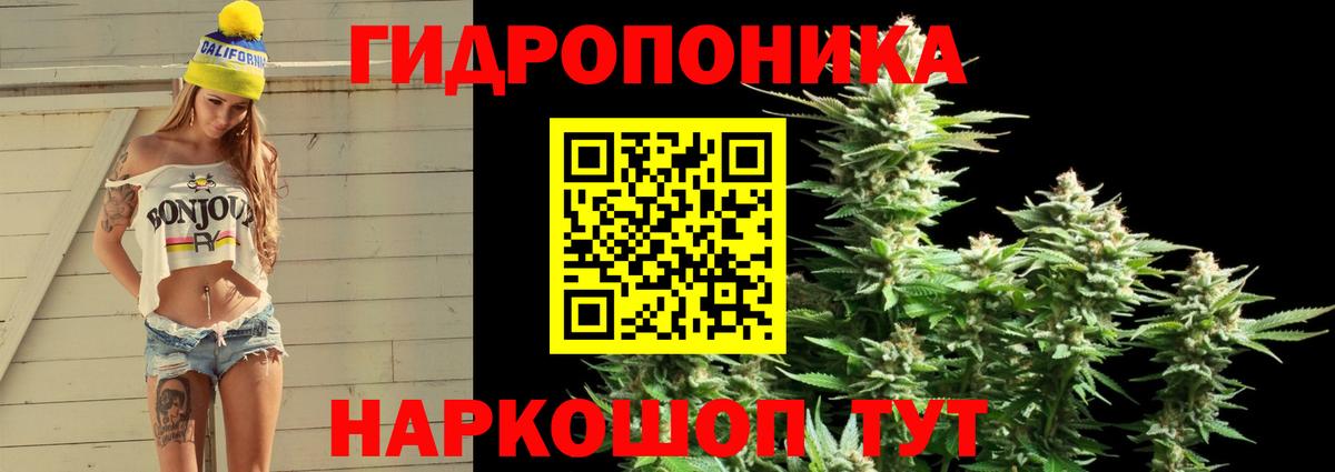 Марихуана план  Вход с VPN  Каннабис LSD WEED  Бошки марихуана White Widow  Трёхгорный  Конопля SATIVA & INDICA 